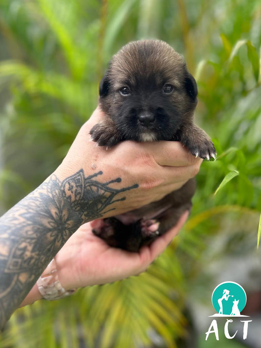 Complete Care Cycle Breaker Bundle ⛑️