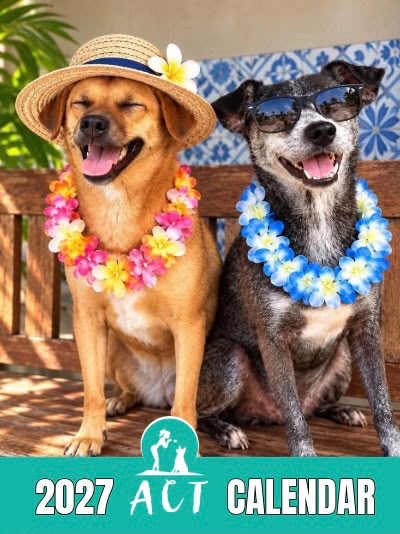 2027 ACT Rescue Doggo Hanging Calendar